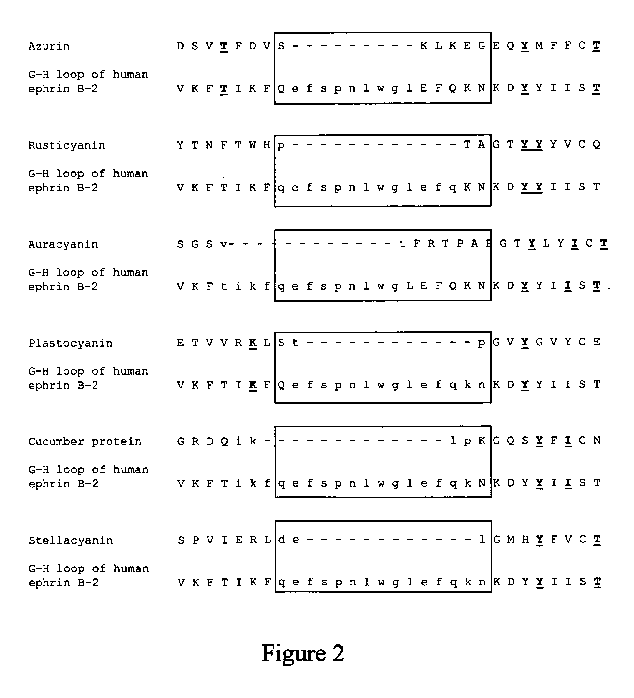 Compositions and methods for treating conditions related to ephrin signaling with cupredoxins