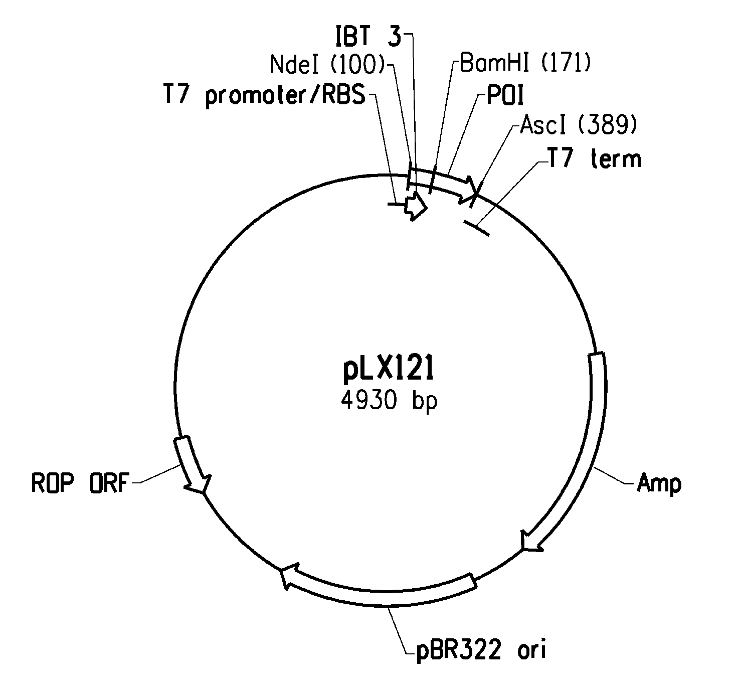 Recombinant peptide production using a cross-linkable solubility tag