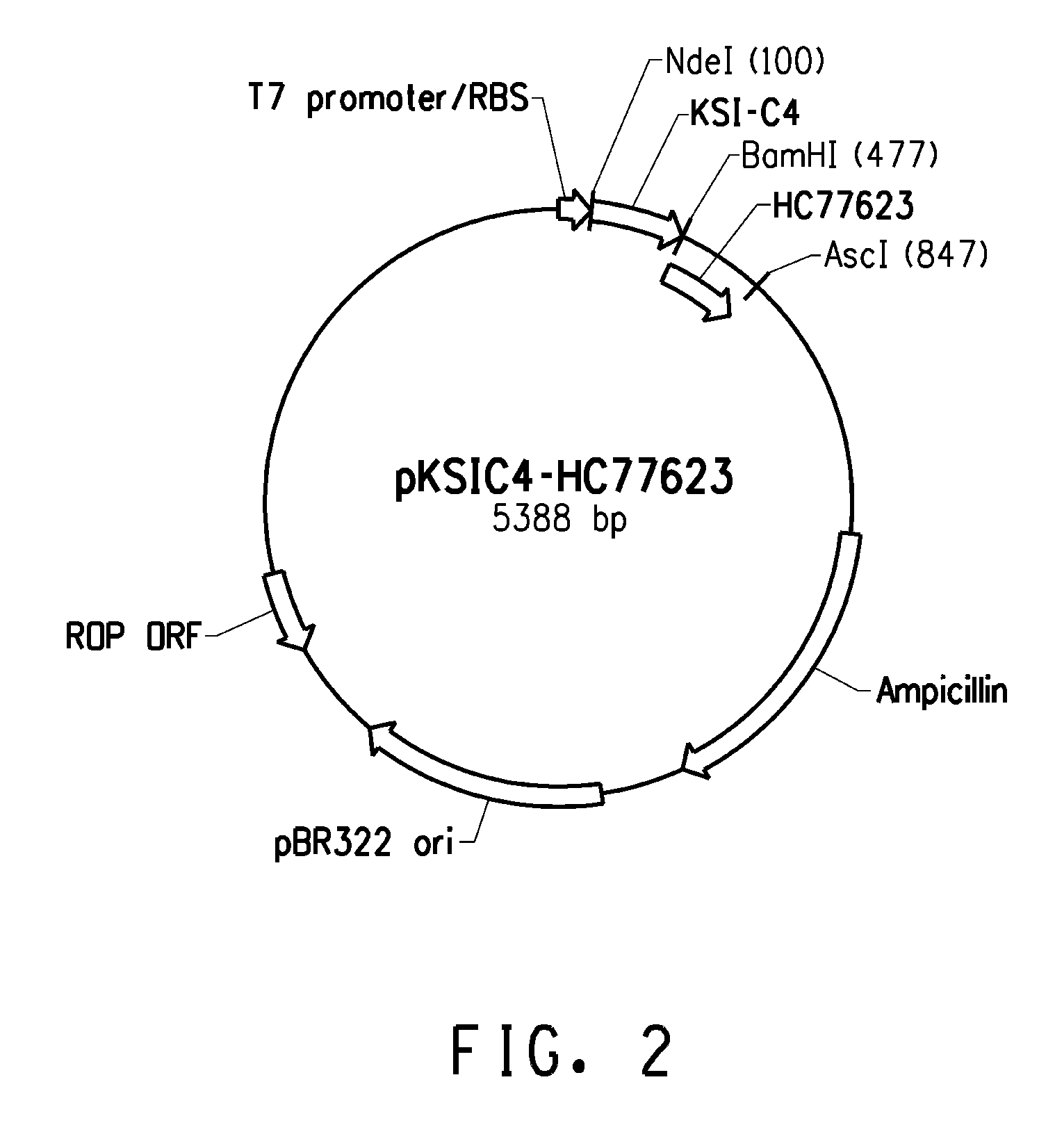 Recombinant peptide production using a cross-linkable solubility tag