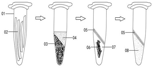 A method for cleanly decomposing waxy fixed animal tissues