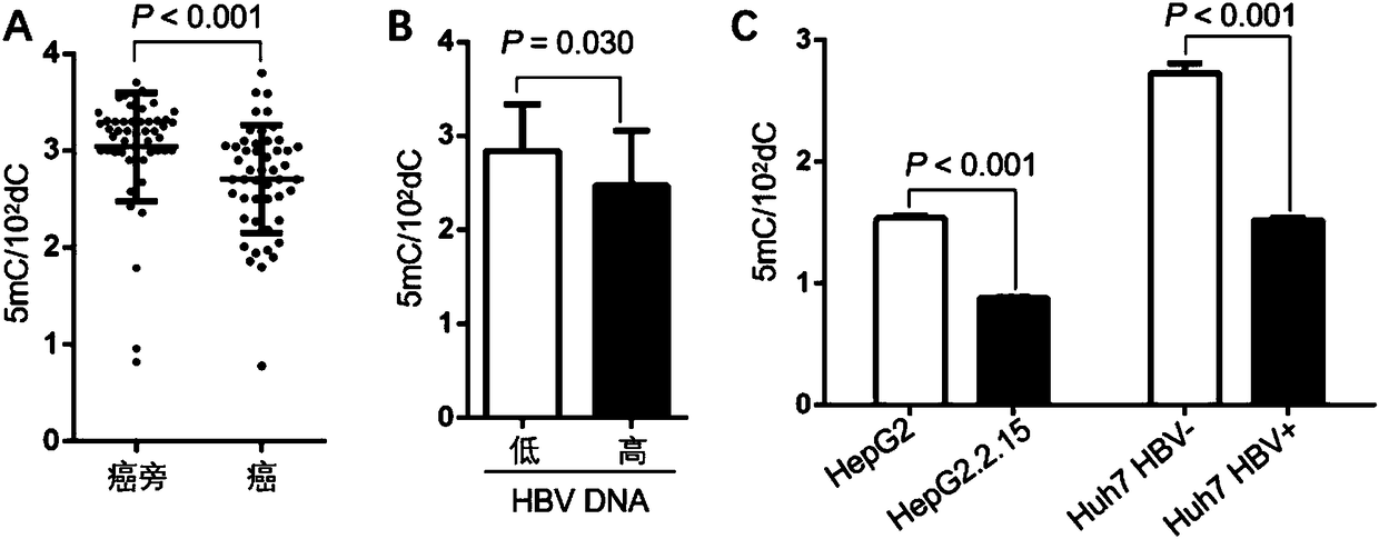 Application of 5-hydroxymethylcytosine and 5-formylcytosine in prognosis evaluation of hepatocellular carcinoma