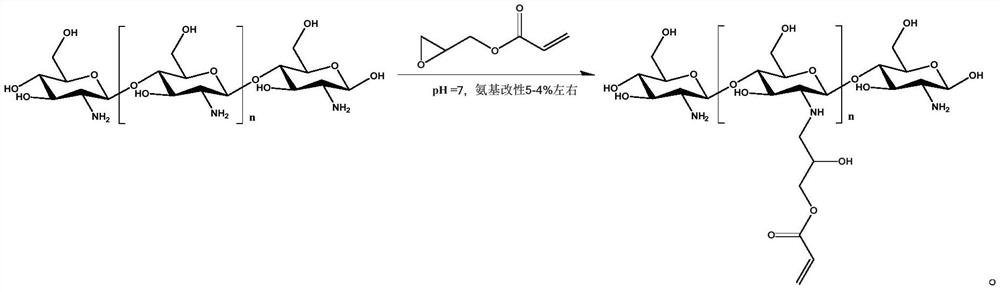 Chitosan hydrogel and preparation method, antiviral spray, antiviral liquid gloves