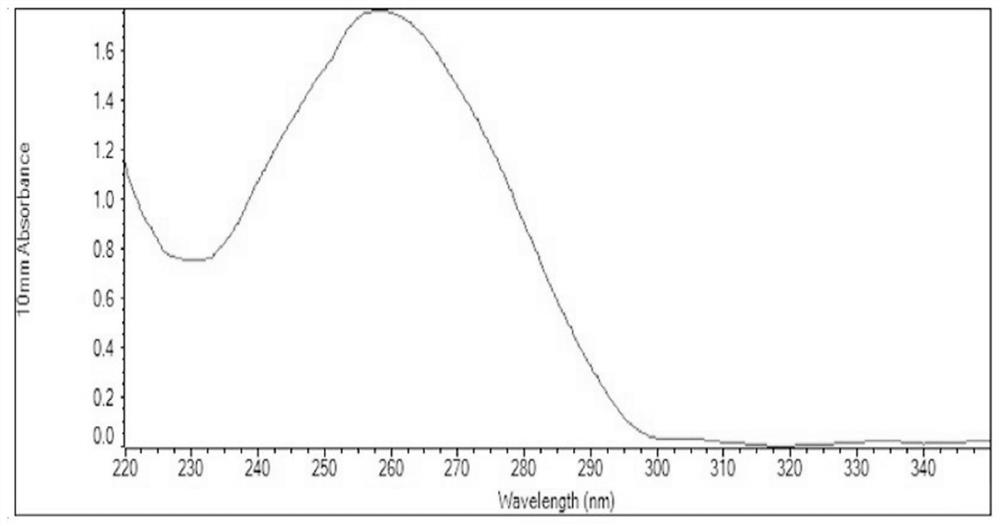 Preparation method and application of magnetic microspheres for purifying mRNA (messenger ribonucleic acid)