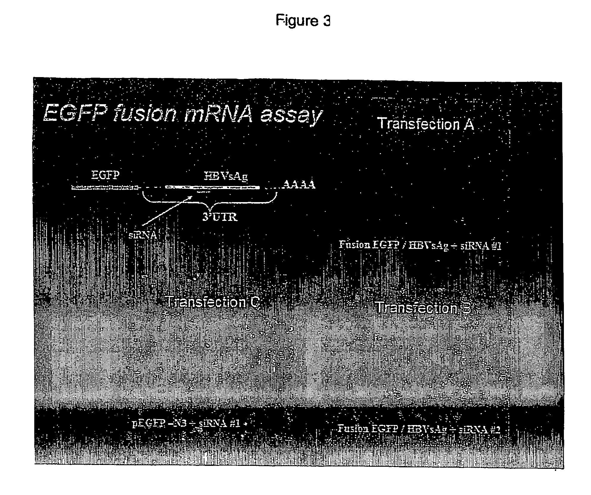 Methods and constructs for evaluation of rnai targets and effector molecules