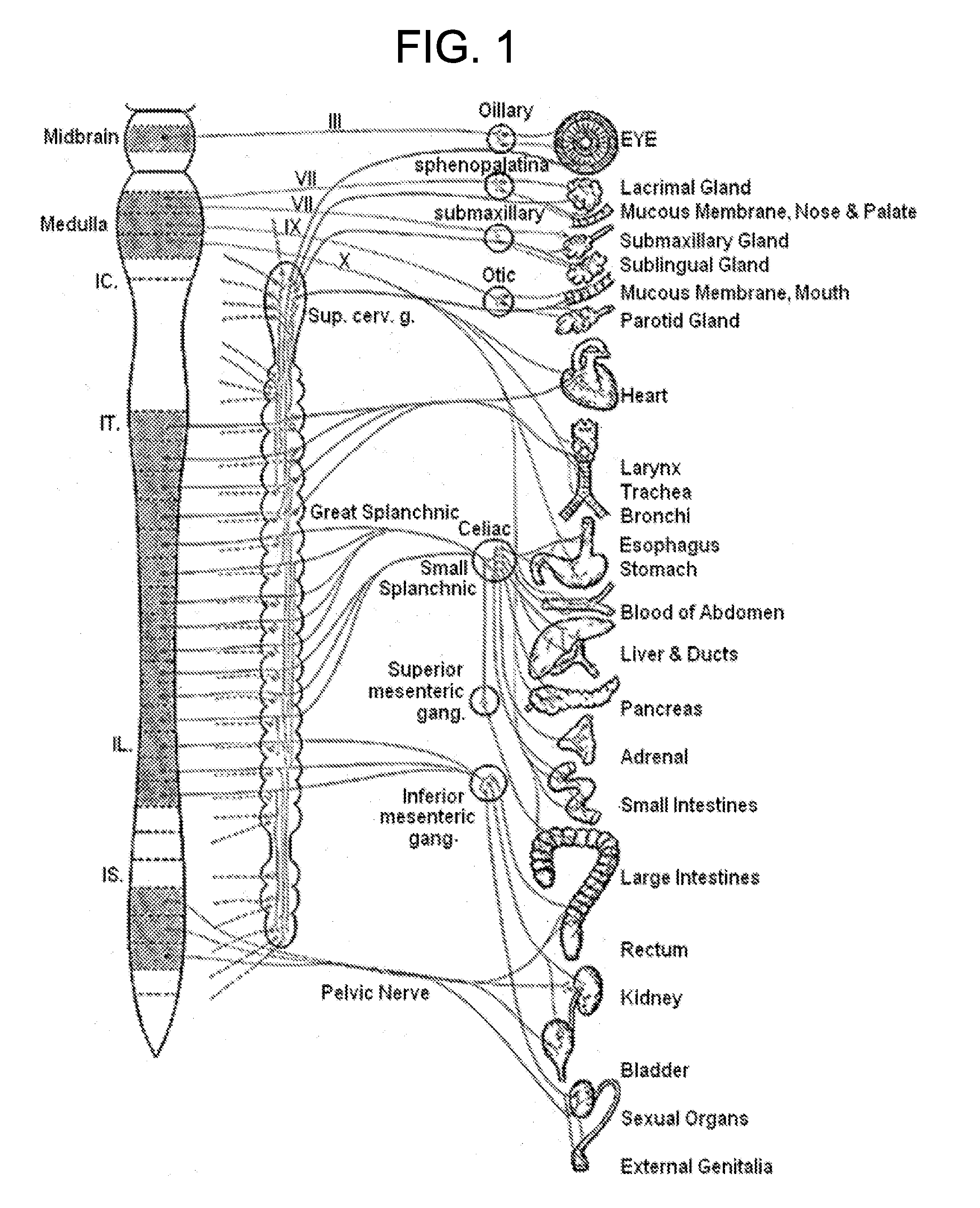 Electrical stimulation treatment of hypotension