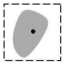 Remote Sensing Image Processing Method Combining Shape Adaptive Neighborhood and Texture Feature Extraction