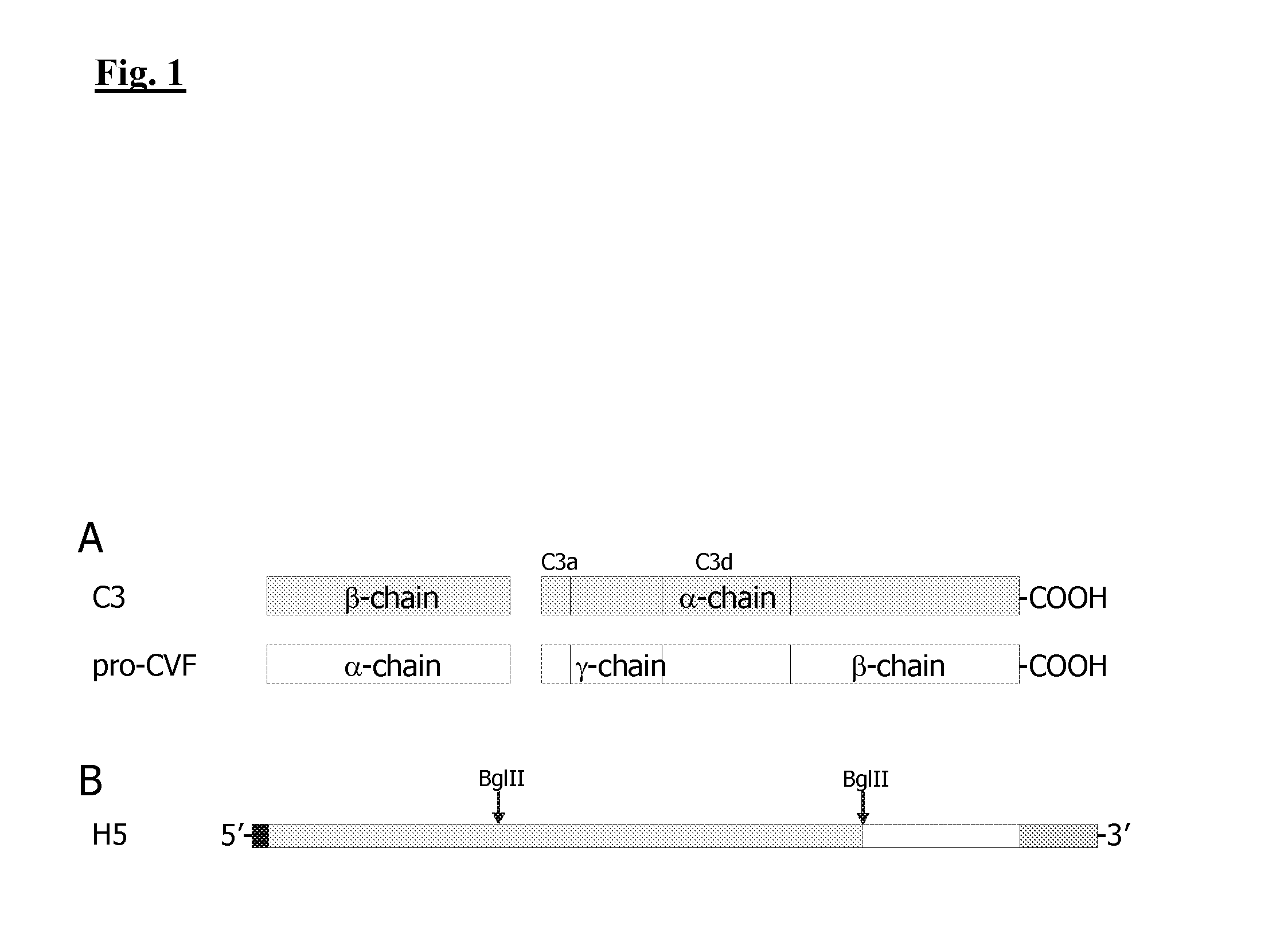 Controlled activation of complement components for use as endogenous adjuvant