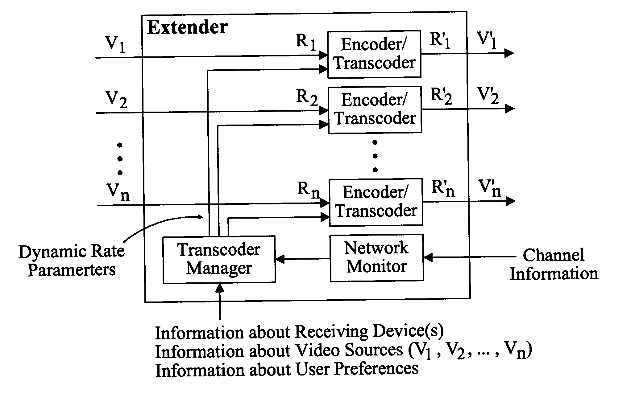 Wireless video transmission system