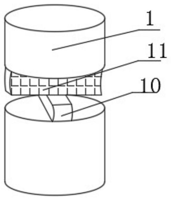 Soil-loosening rake tooth for harvesting water chestnuts