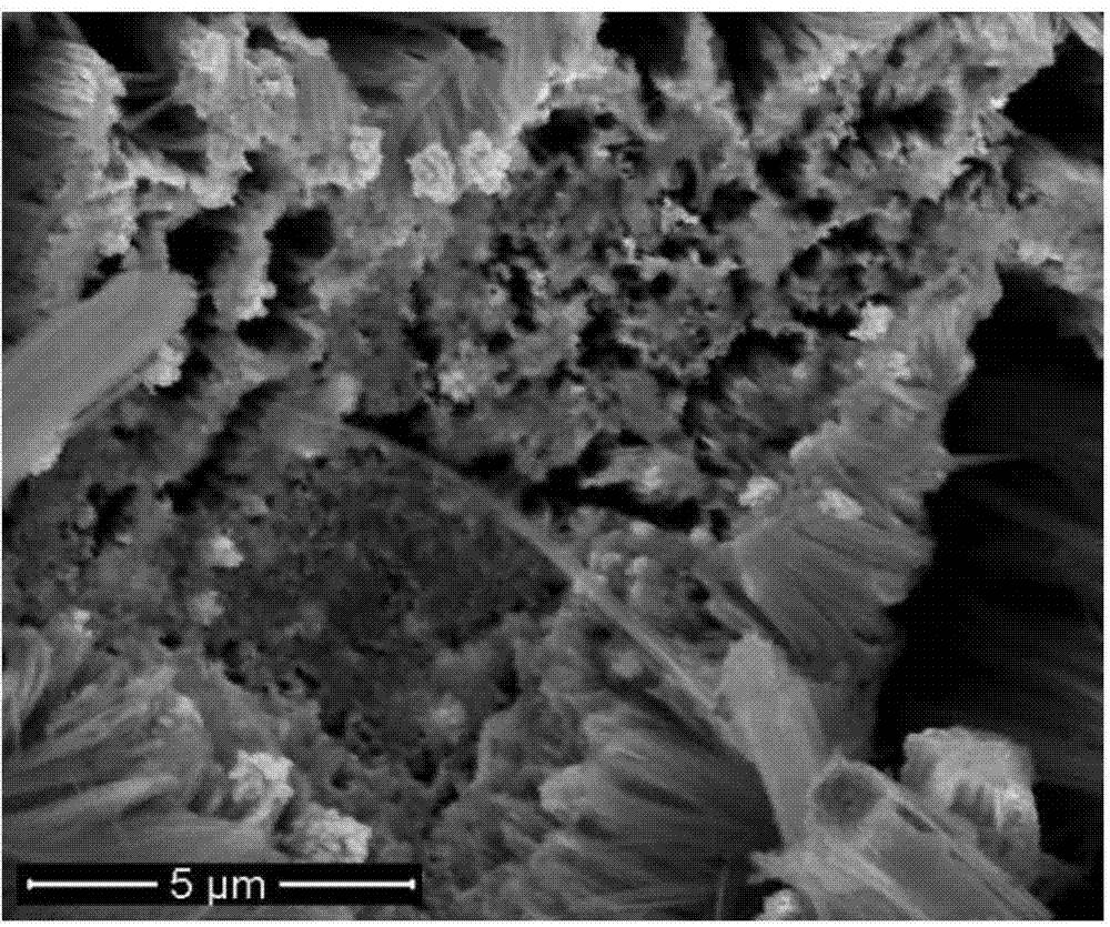 Pt/silicon nanometer array structure composite material and preparation method thereof