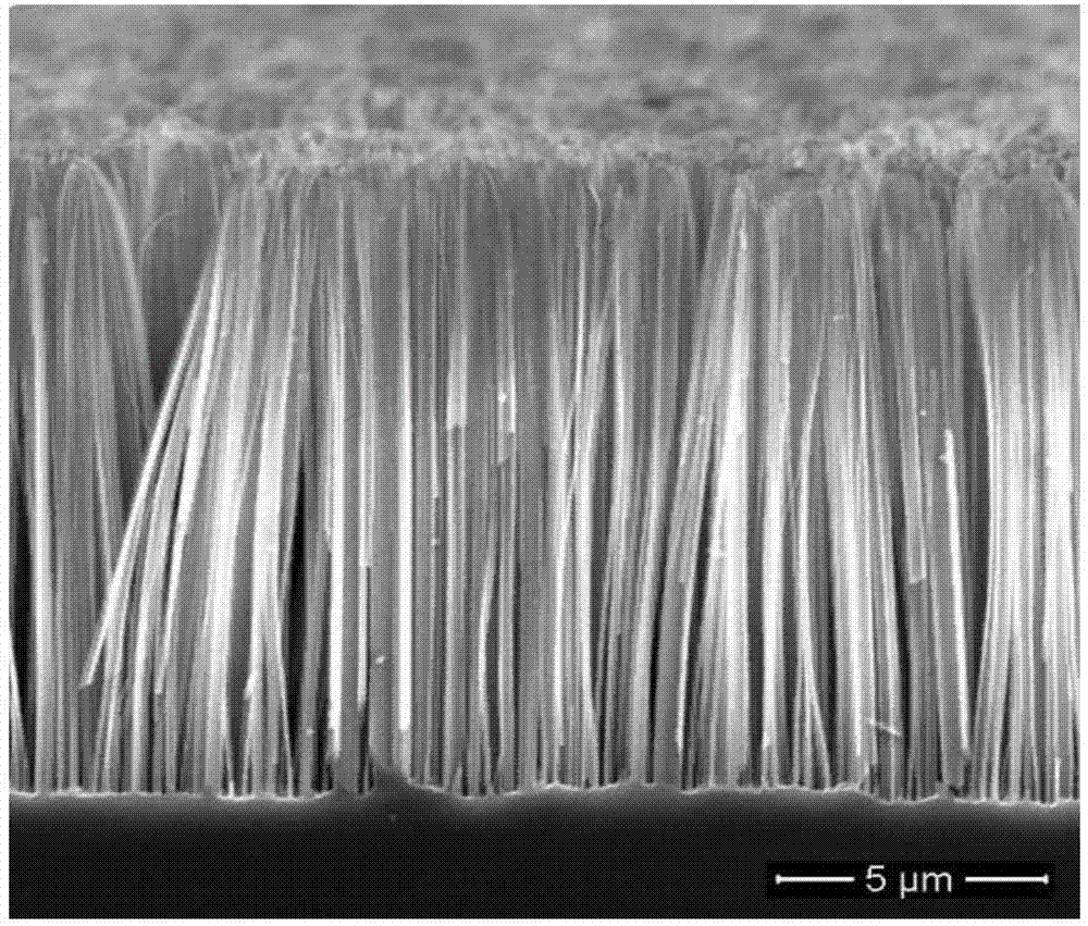 Pt/silicon nanometer array structure composite material and preparation method thereof