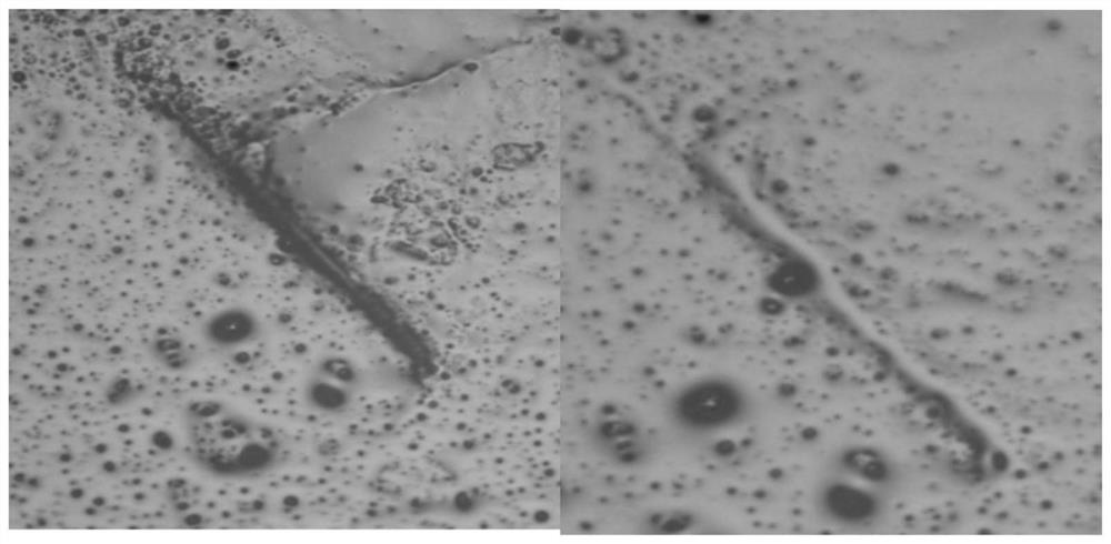 A PDMS-based elastic film that can quickly self-heal without external stimulation and its preparation method