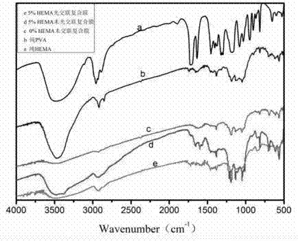 Preparation method of photo-crosslinking polyvinyl alcohol/cellulose nanocrystal (PVA/CNC) composite film