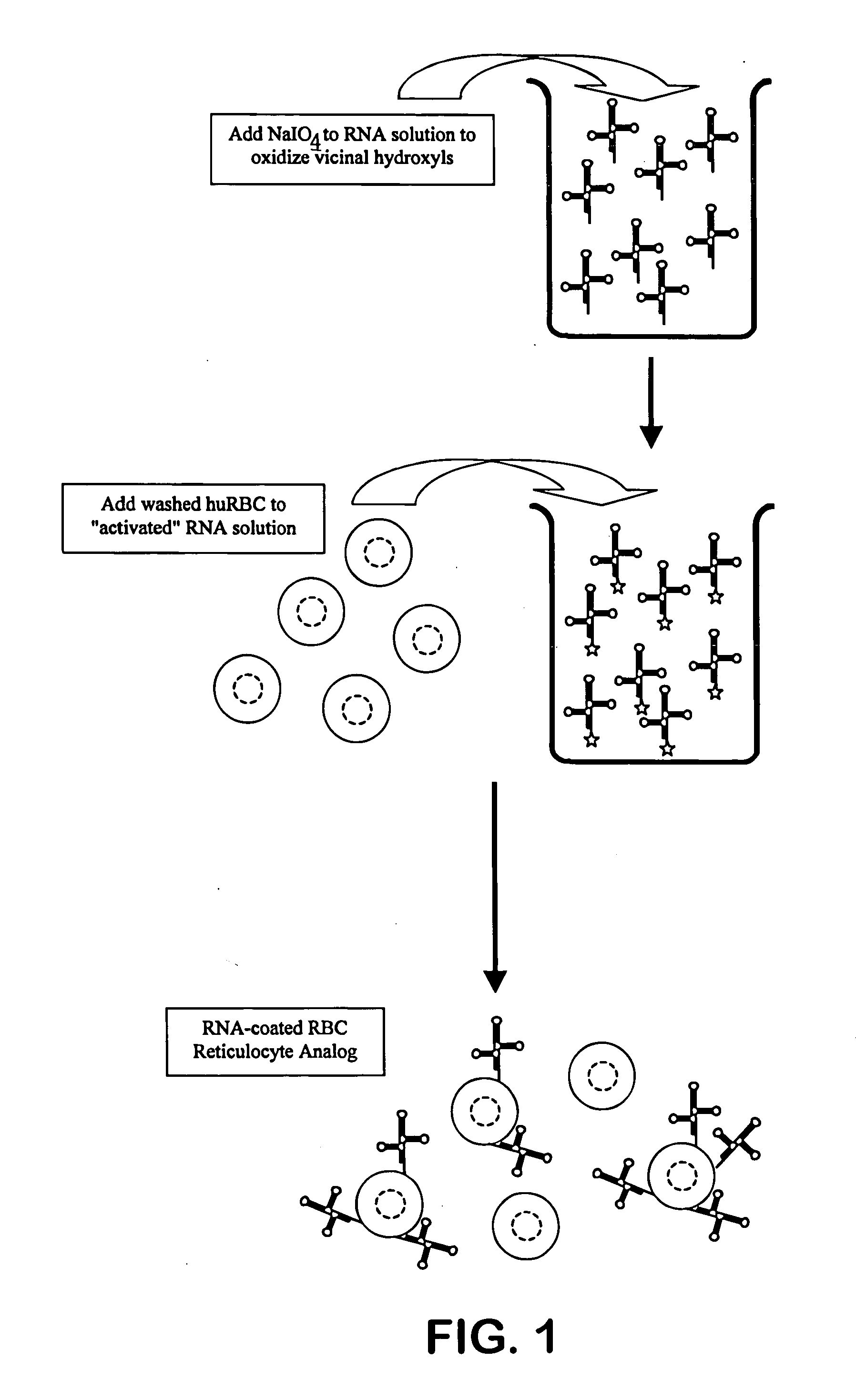 Hematology controls for reticulocytes and nucleated red blood cells