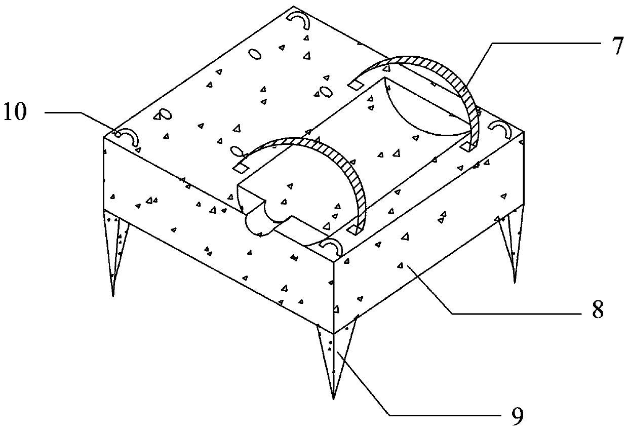 Coral cultivation device for lowering seawater acidity to promote growth of corals