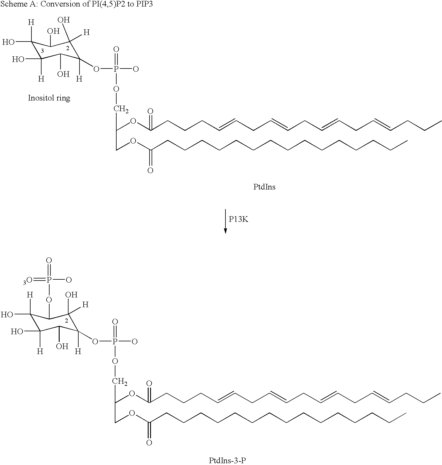 Thiazolidinedione derivatives as p13 kinase inhibitors