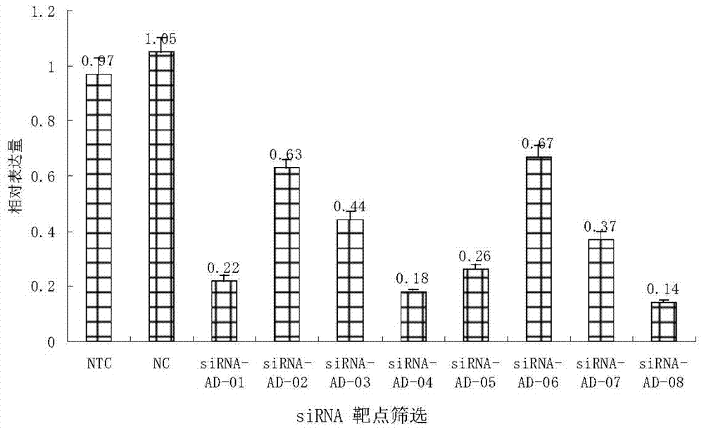 siRNA for inhibiting ADAM17 (a disintegrin and metalloprotease 17) genes and application of siRNA