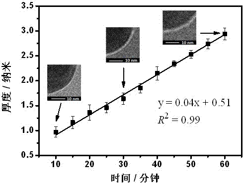 Preparation method and application of lectin mimics based on molecular imprinting technology