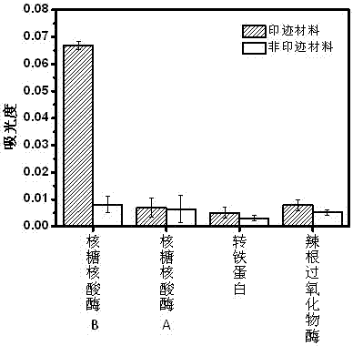 Preparation method and application of lectin mimics based on molecular imprinting technology