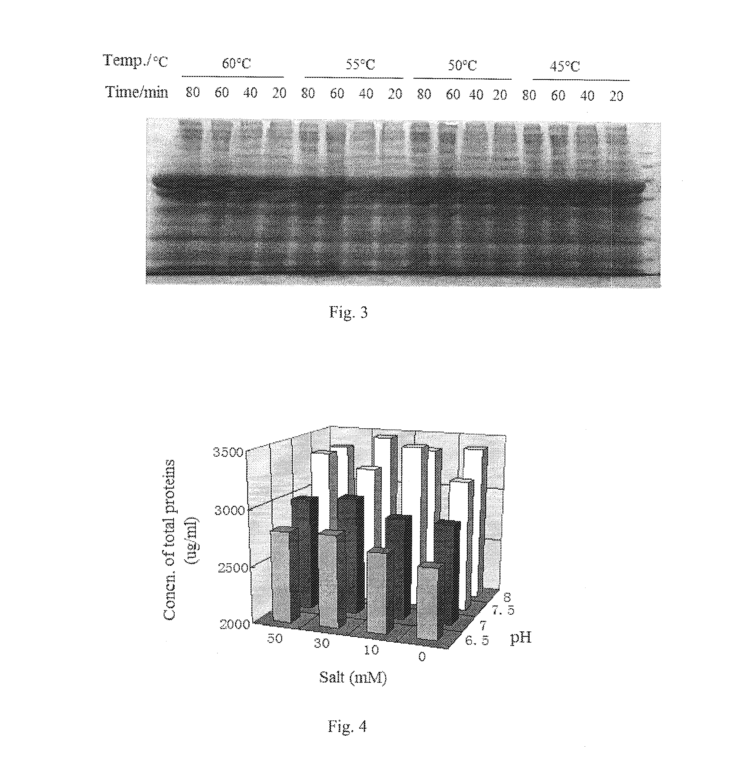 Method for extracting recombinant human serum albumin from transgenic rice grain