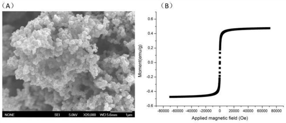 Method for detecting acetamiprid based on polypyrrole ferric oxide and fluorescent material