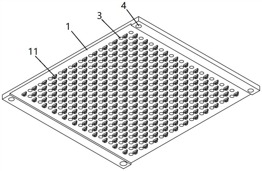 A kind of drying equipment and drying method of biological material