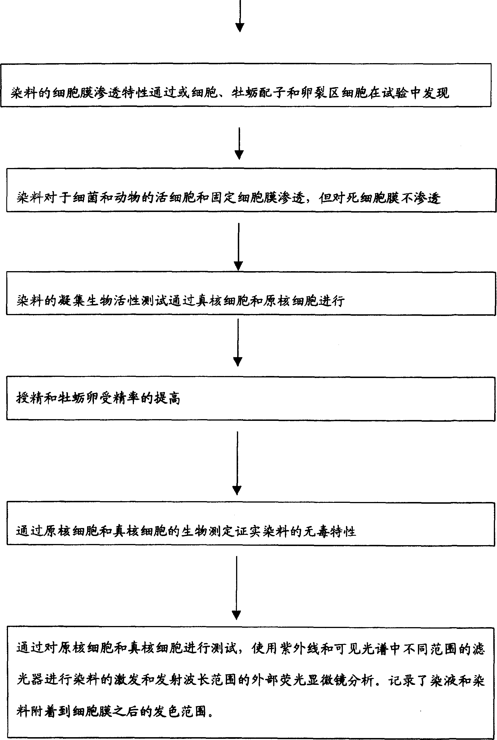 A natural non-toxic fluorescent protein dye from a non-bioluminescent marine invertebrate, compositions containing the said dye and its uses