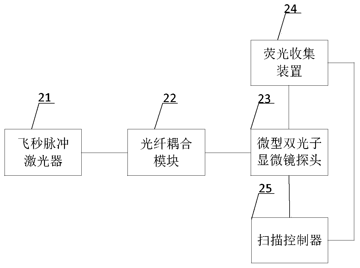 Fluorescence collection device, miniature two-photon microscope and dual photon imaging method