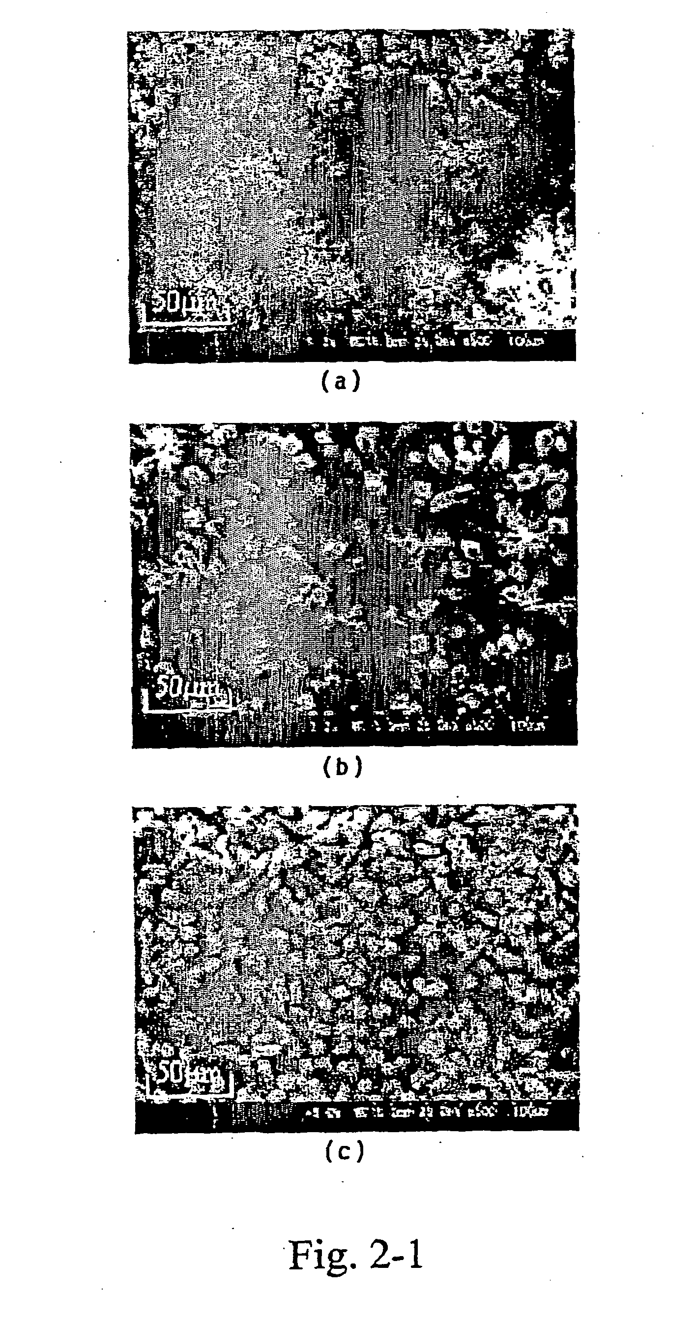 Corrosion-protection by electrochemical deposition of metal oxide layers on metal substrates