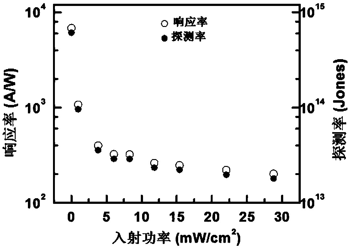 Low-dimensional nano photodetector based on in-plane asymmetric local field control and preparation method thereof