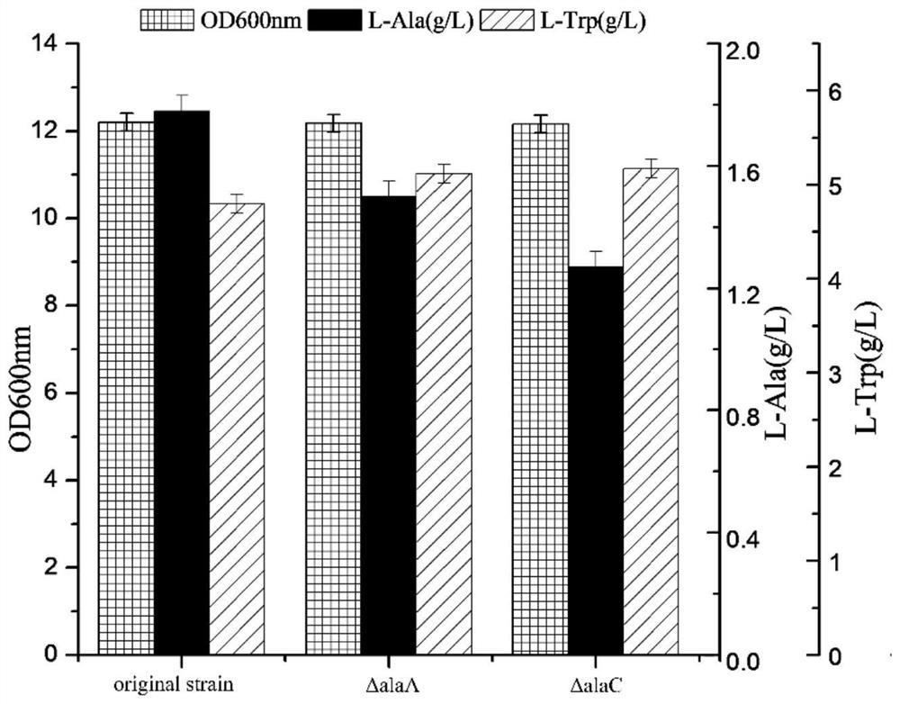 Construction method of escherichia coli with high yield of L-tryptophan and low yield of L-alanine