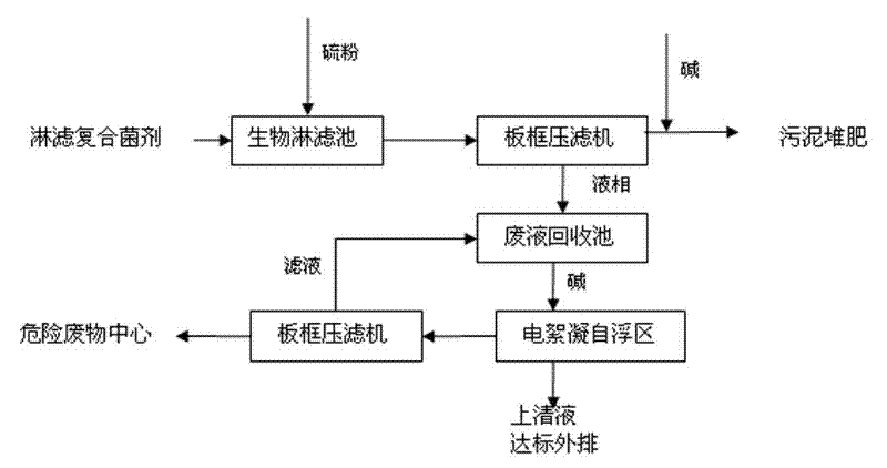 Process for removing heavy metal from sludge of sewage treatment plants