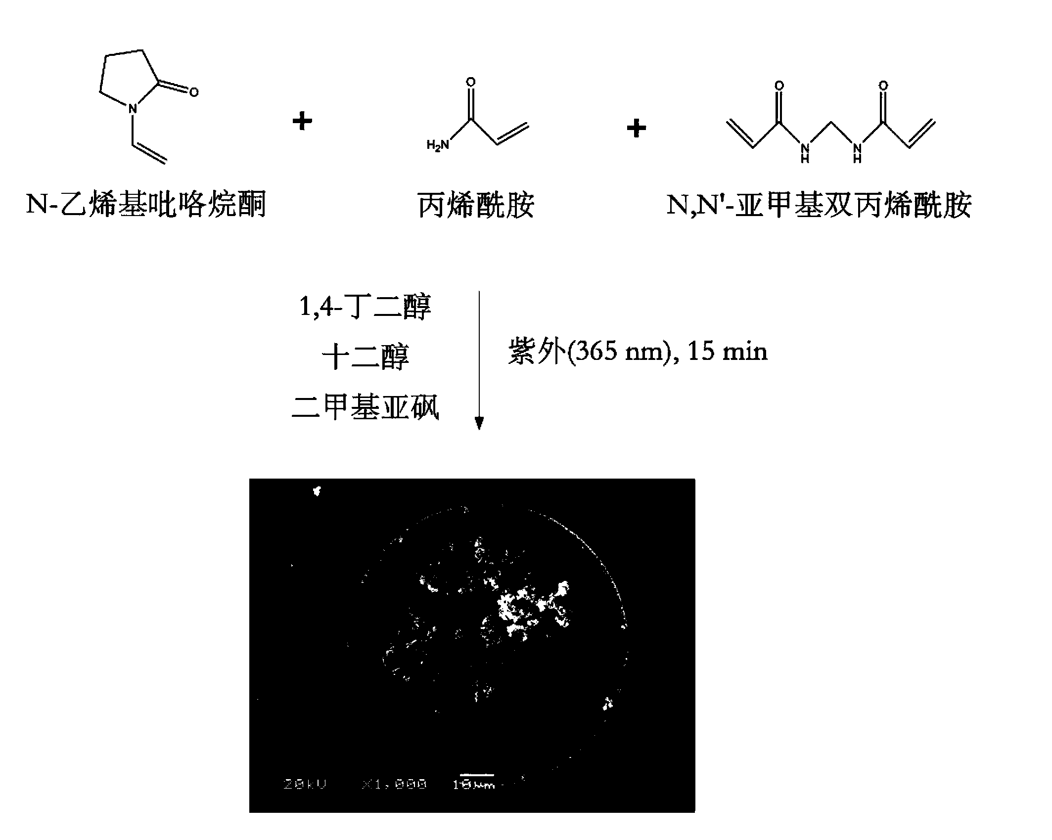 Amide monolithic column for enriching glycopeptide based on hydrophilic interaction mechanism and preparation and application method thereof