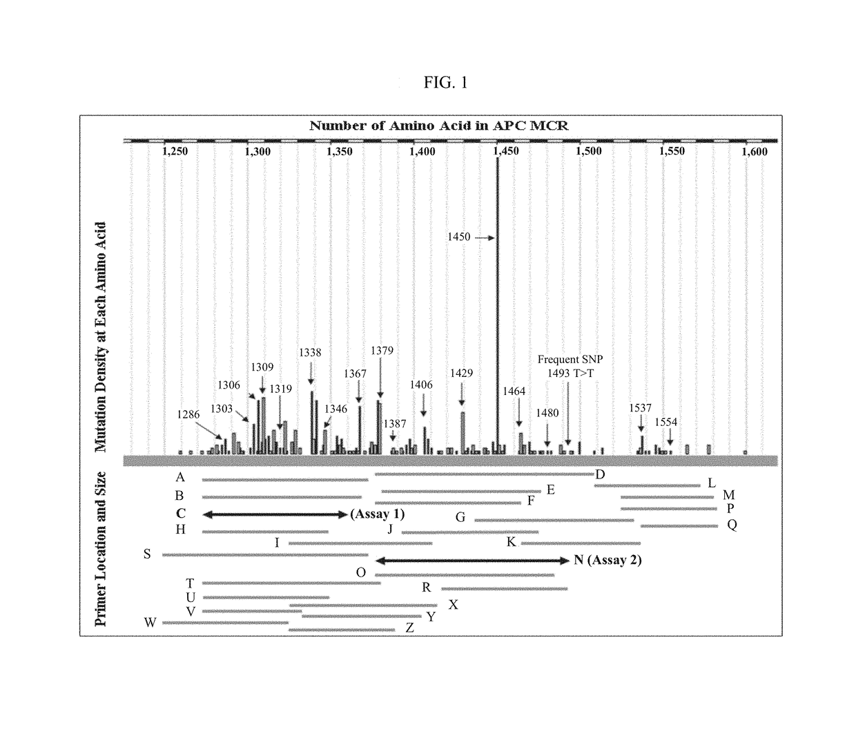 Methods and materials for detecting colorectal cancer and adenoma