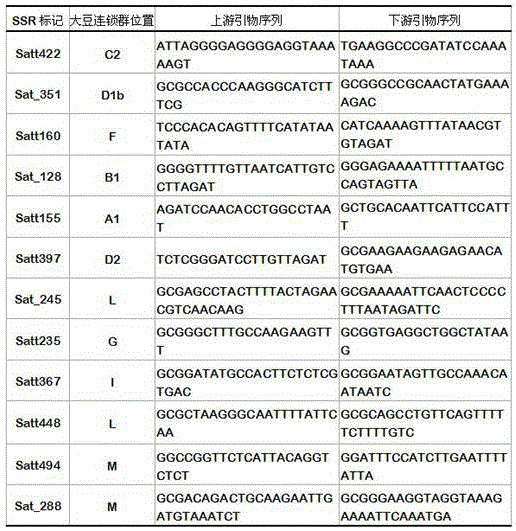 Building method of soybean variety SSR (simple sequence repeat) fingerprint identification card