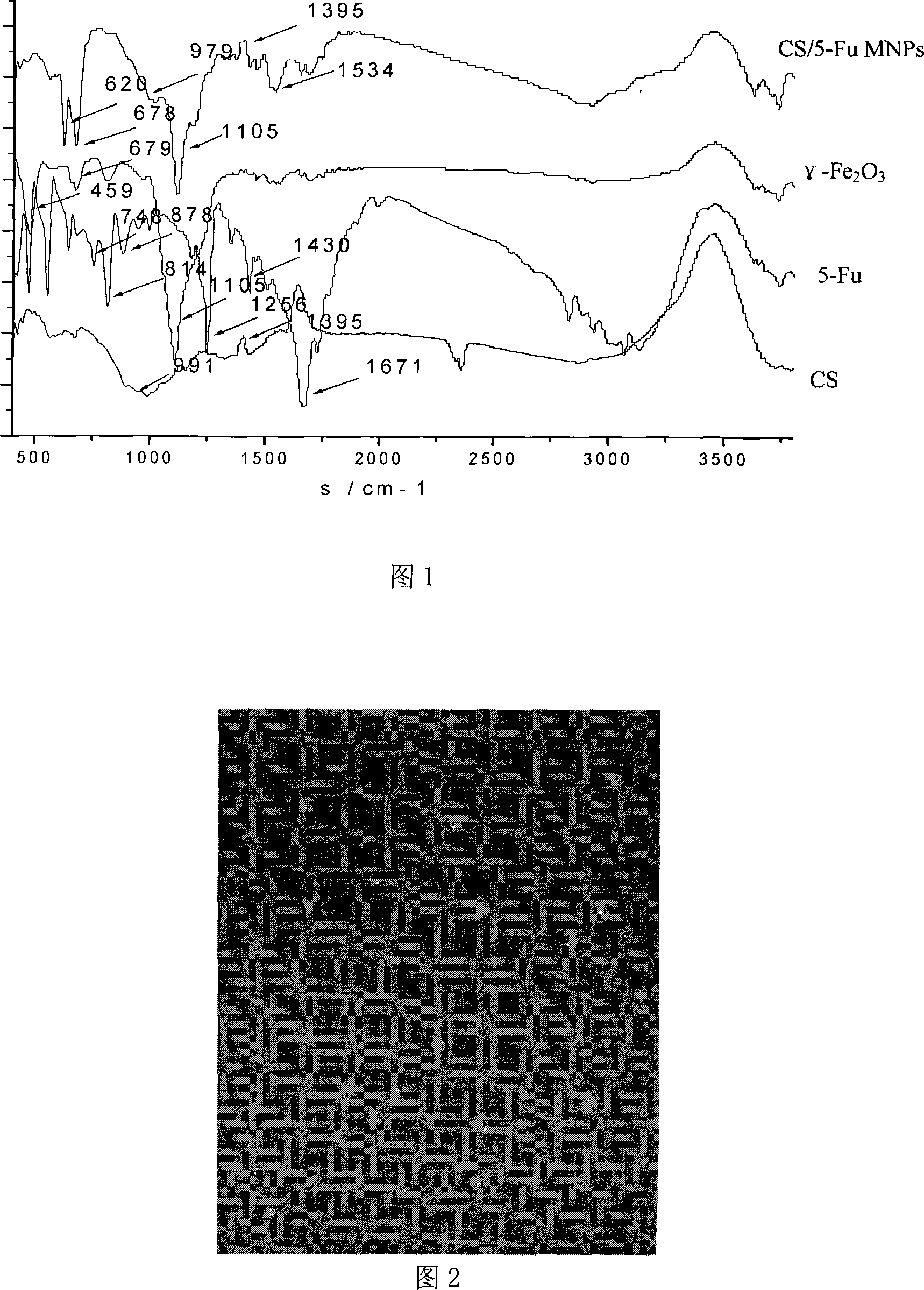 Magnetic chitosan medicine-carried nano particles and preparation method thereof