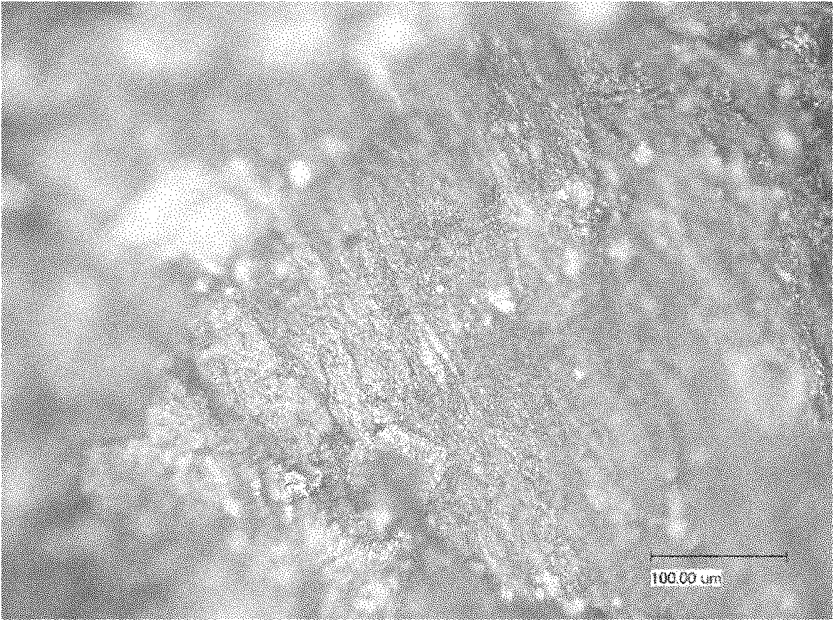 Method for preparing conducting polymer with butterfly wing photonic crystal structure