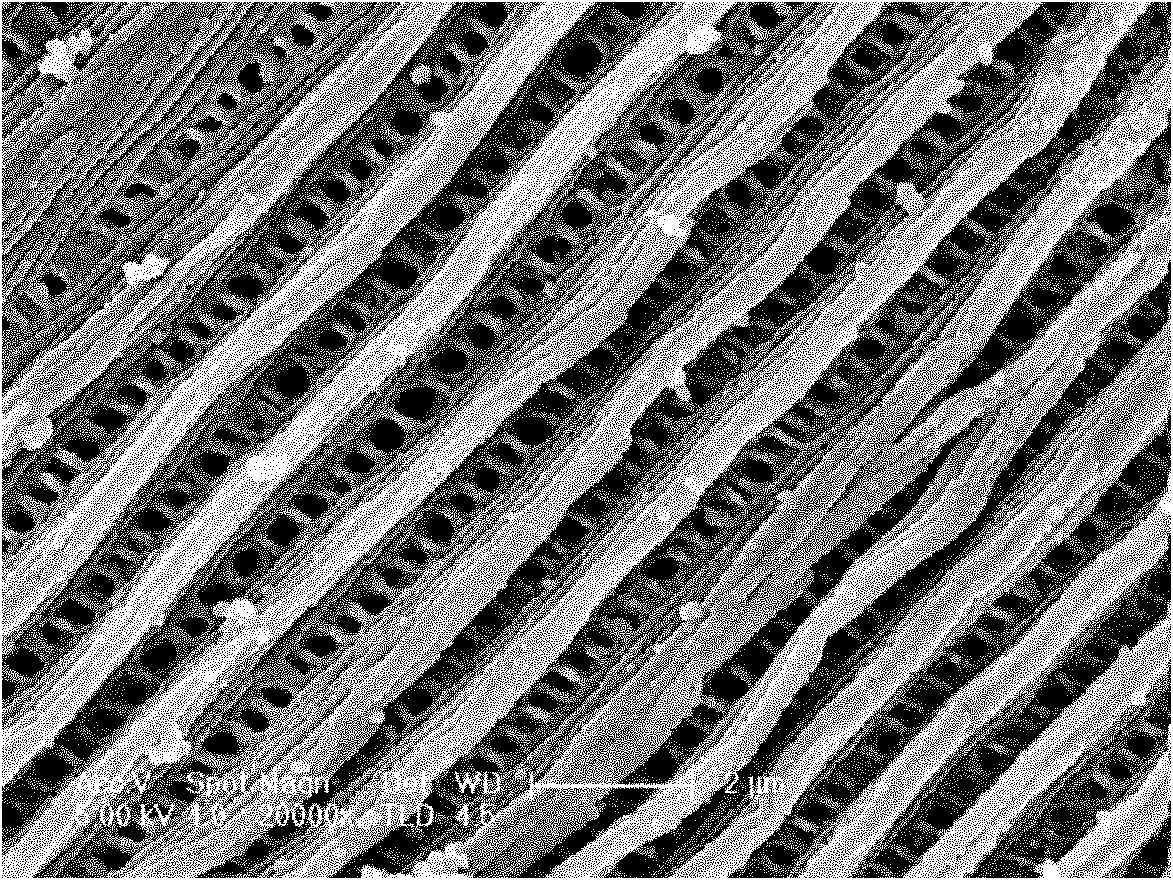 Method for preparing conducting polymer with butterfly wing photonic crystal structure