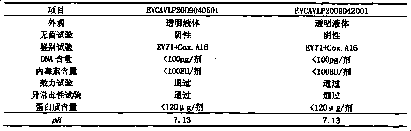 Univalent and bivalent gene engineered subunit vaccine for hand-foot-and-mouth disease and preparation method thereof