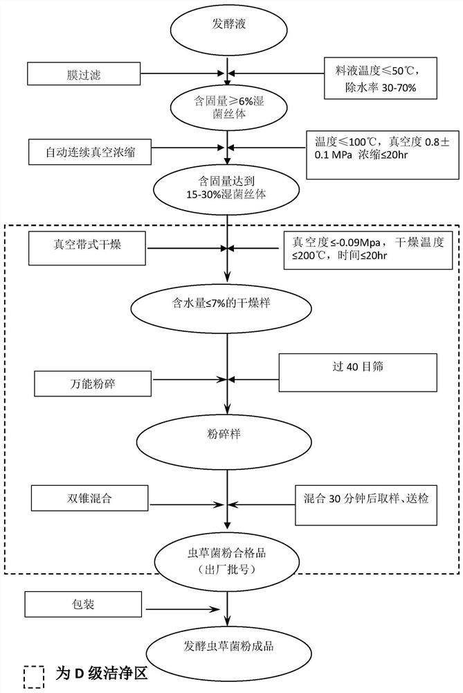 High-adenosine and high-ergosterol fermented cordyceps sinensis powder and production method thereof