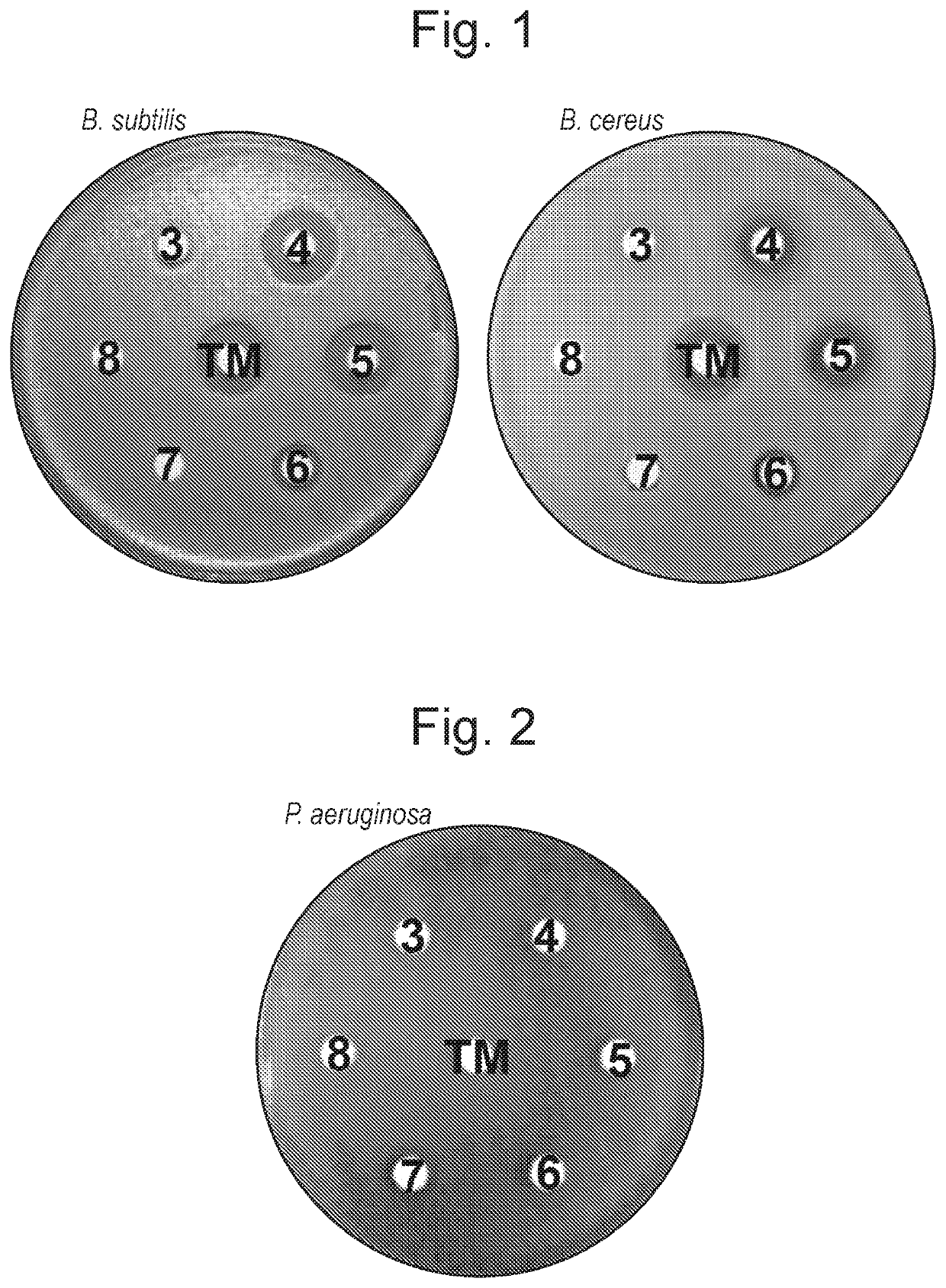 Tunicamycin analogues