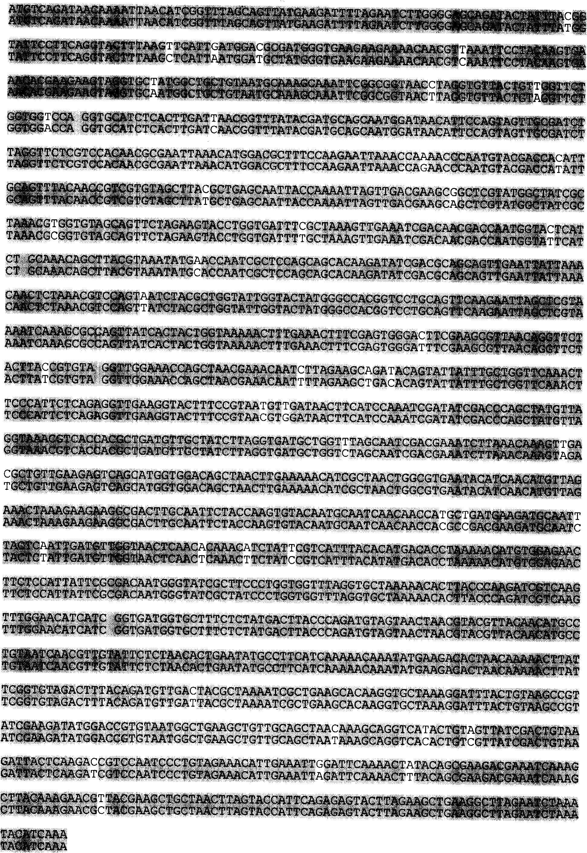 Acetonic acid oxidase gene, recombinant expression plasmid and transformation strains thereof