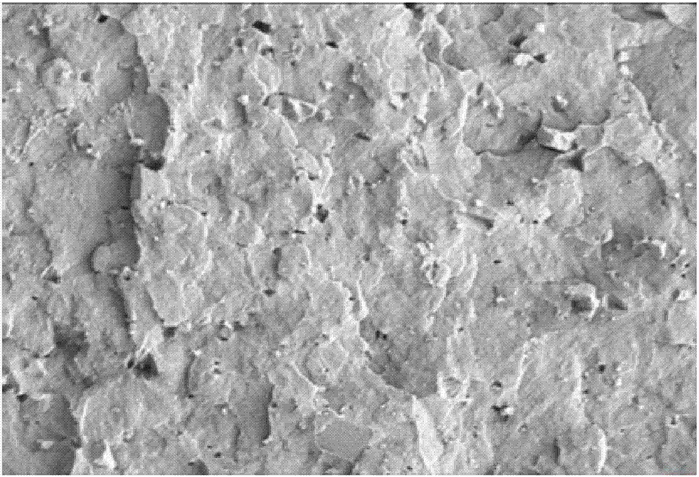 Foaming masterbatch with photocatalytic function and preparation method of foaming masterbatch