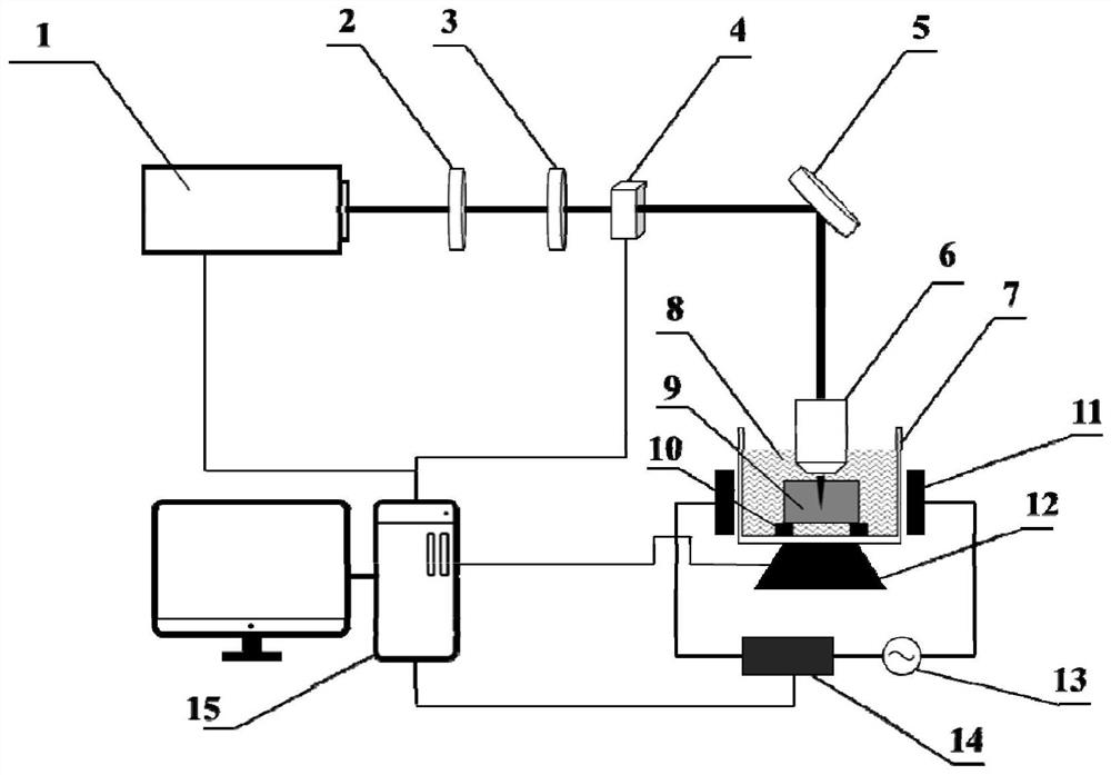 System and method for processing micro-channel through femtosecond laser assisted by alternating electric field