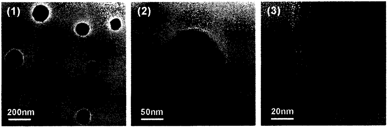 Liposome-encapsulated organic-metal-framework nano medicine delivery system preparation method and application