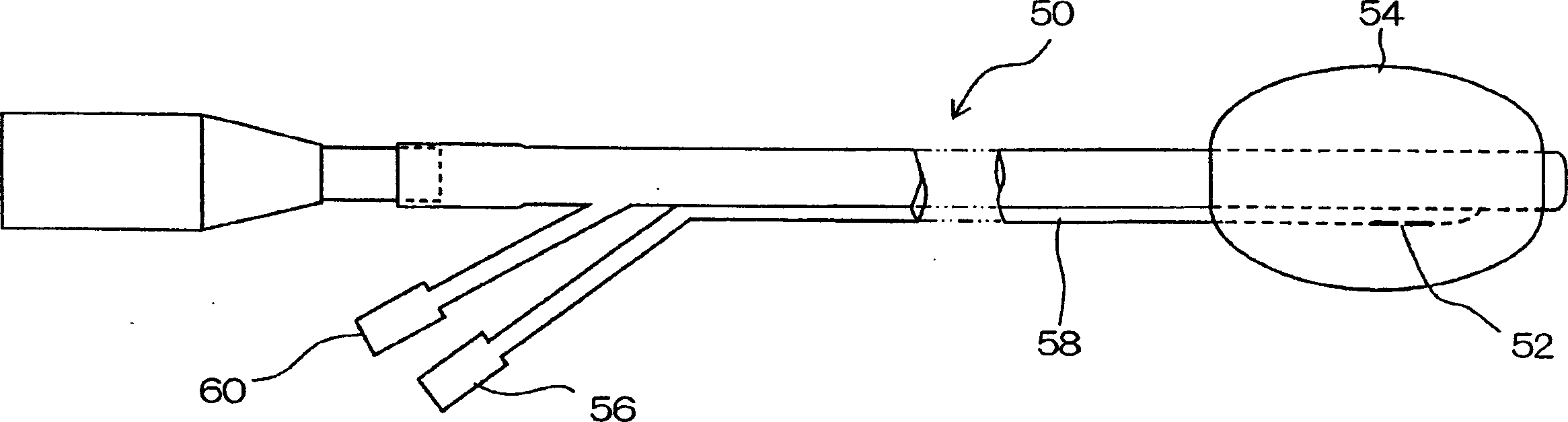 Airbag type endoscope