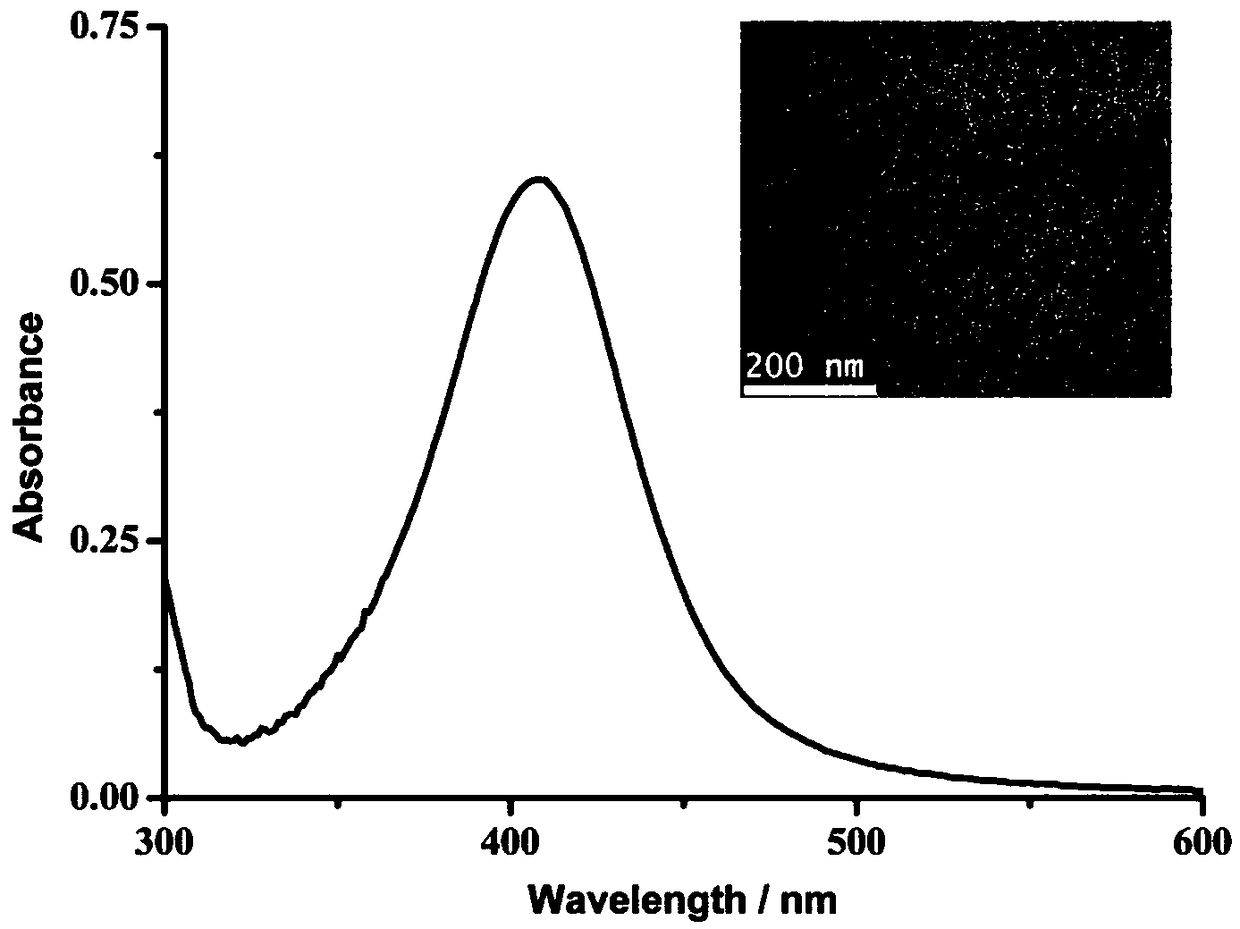 Electrochemical method for detecting activity of protein acetyltransferase