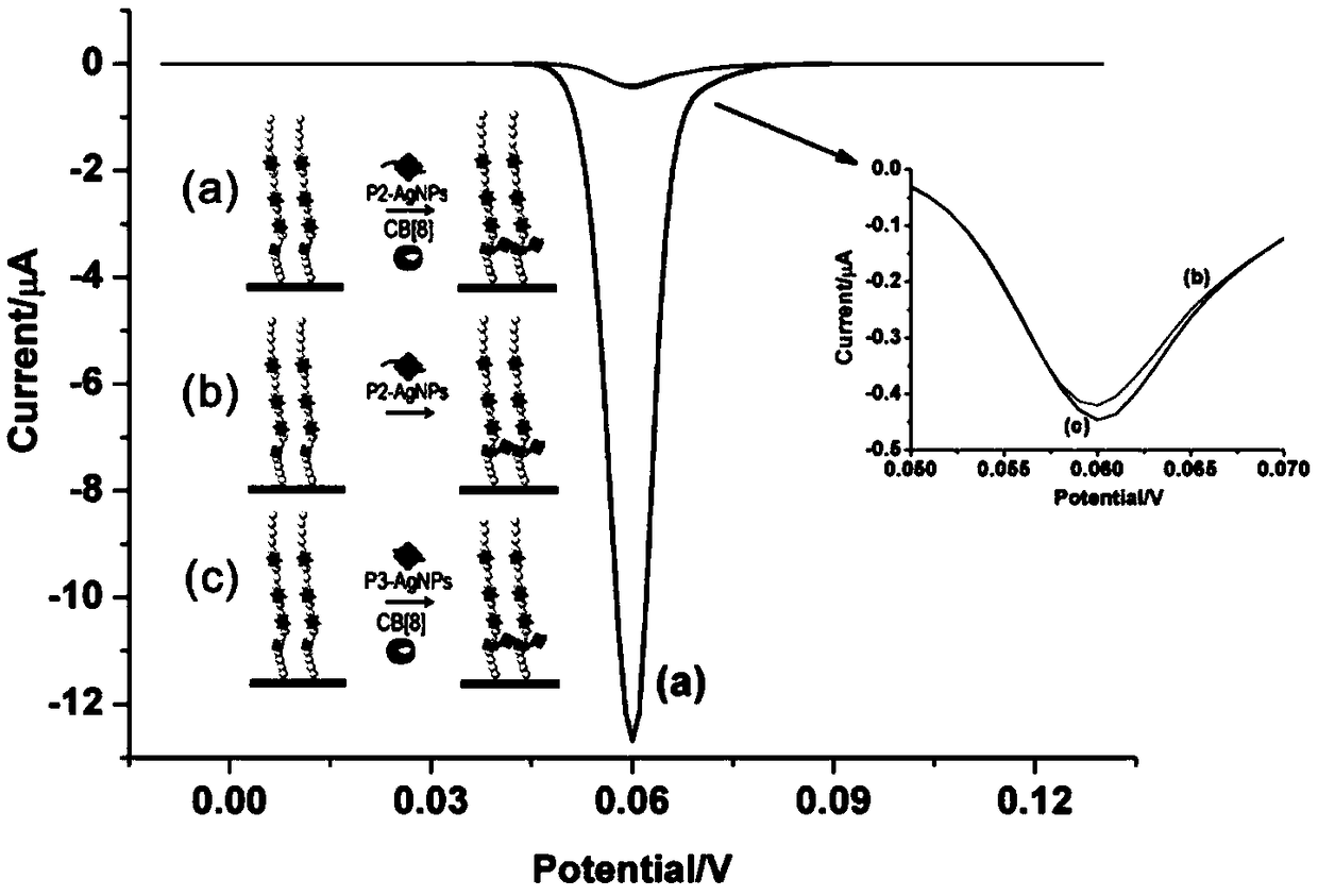 Electrochemical method for detecting activity of protein acetyltransferase