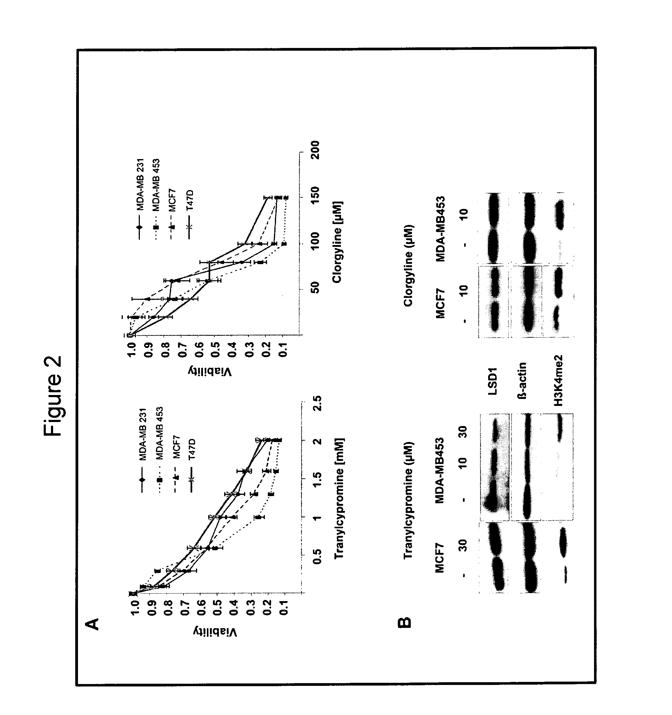 Lysine-specific demethylase 1(LSD1) is a biomarker for breast cancer