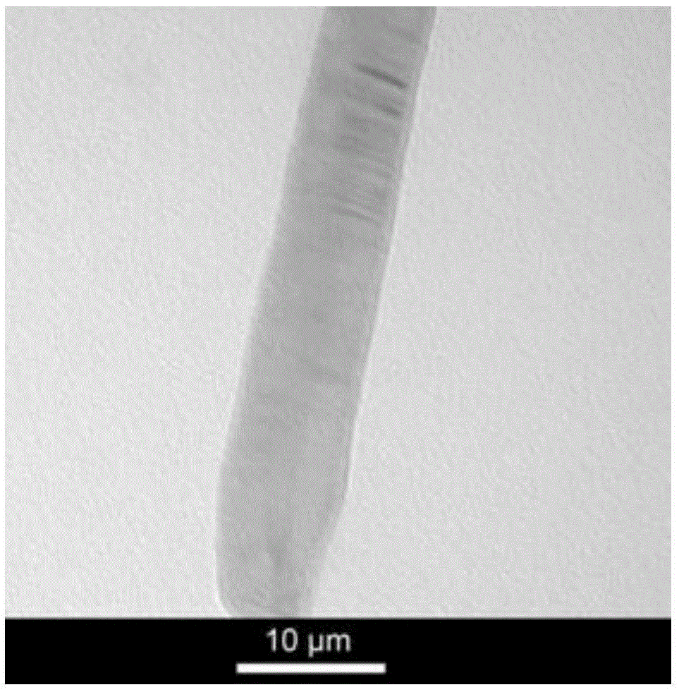 Preparation method of SiC microwire modified gypsum